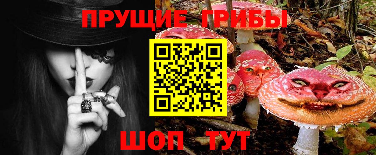 Псилоцибиновые грибы ЛСД Избербаш