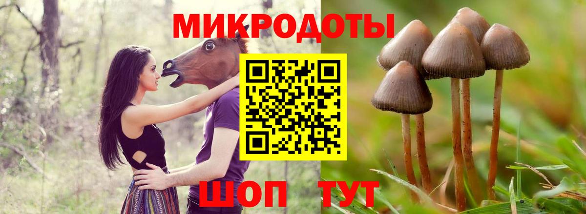 Галлюциногенные грибы Psilocybe  Вход с VPN  Избербаш  Галлюциногенные грибы Magic Shrooms 